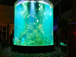 china custom cheap super big round pmma glass aquarium ang tin-aw nga cylinder acrylic fish tank