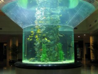 pmma glass aquarium half cylinder perspex malinaw nga tangke sa isda