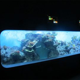 Artificial Cast Acrylic Cylindrical Transparent fish aquarium / panglantaw sa bintana
