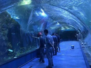 Ang proyektong oceanarium sa tunel sa aquarium sa mga pampublikong aquarium