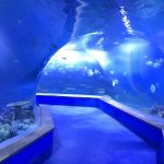 Tin-aw nga pmma acrylic Dako nga plastic tunnel sa aquarium