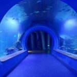 Ang taas nga klaro nga dako nga aquarium tunnel aquarium nga lainlaig mga porma